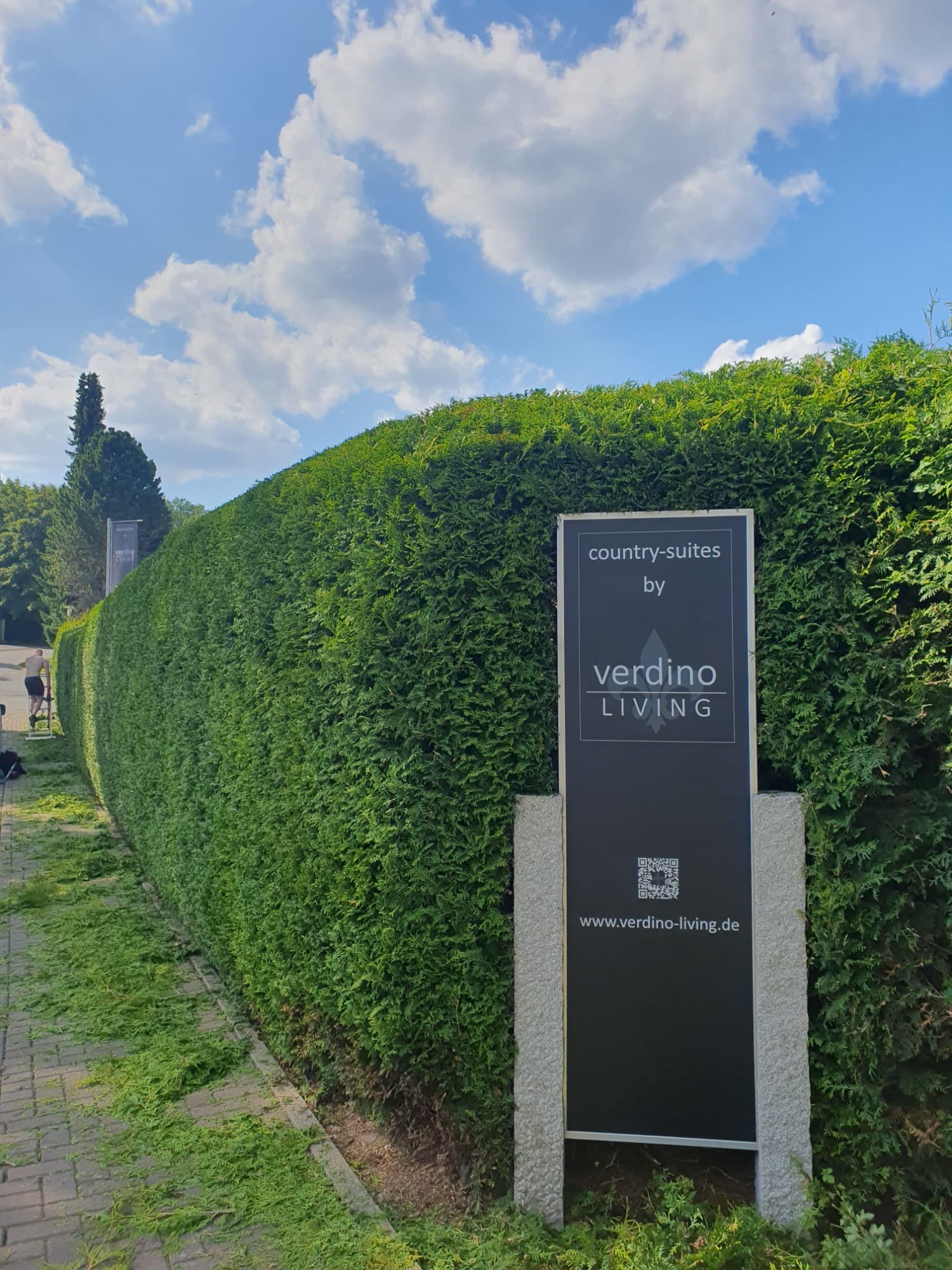 Lange, sauber in Form geschnittene Thujahecke entlang eines Gehwegs.